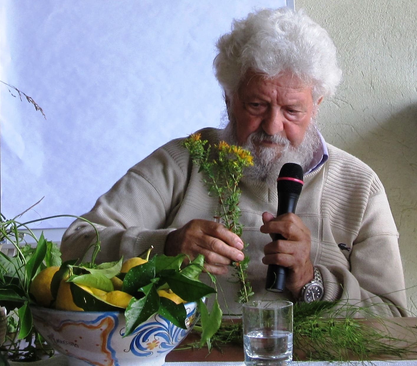 Libereso Guglielmi
